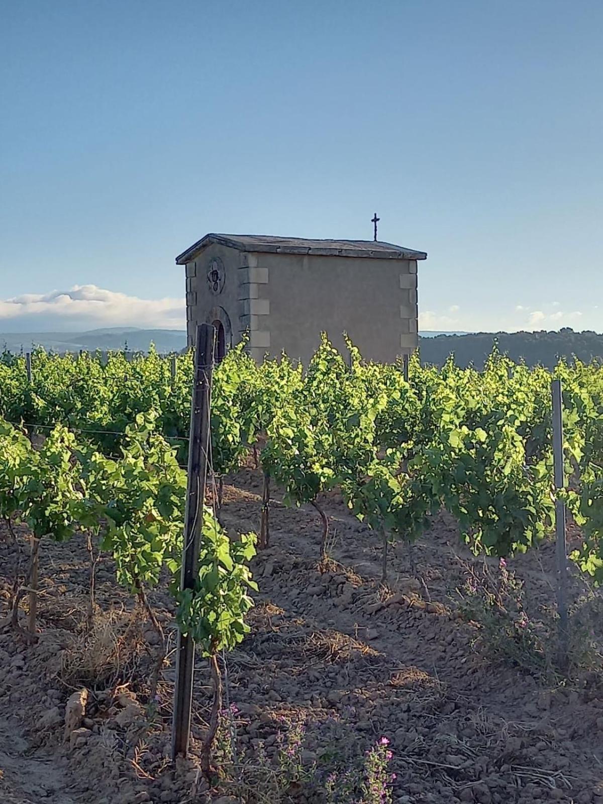 Domaine Saint Augustin Villa Rieux-Minervois Exterior photo