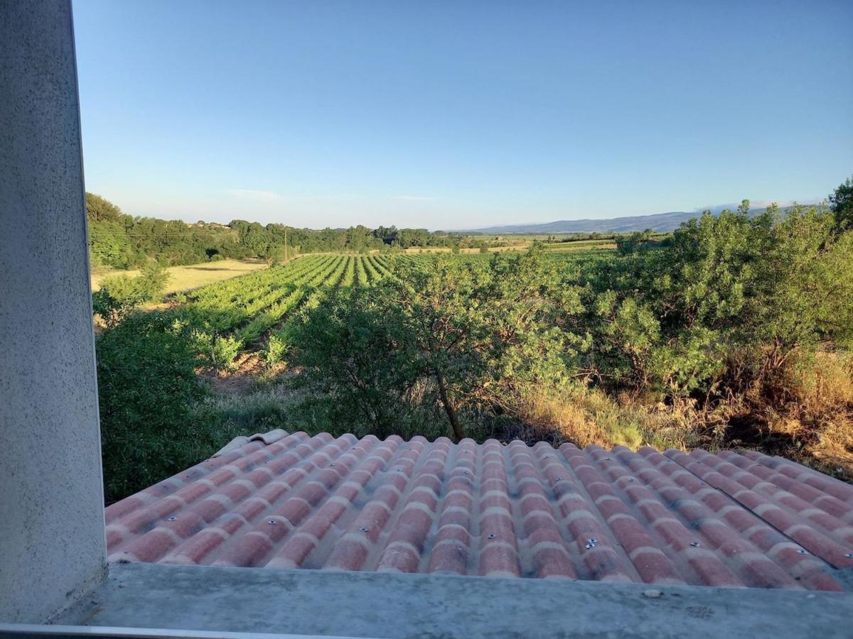 Domaine Saint Augustin Villa Rieux-Minervois Exterior photo