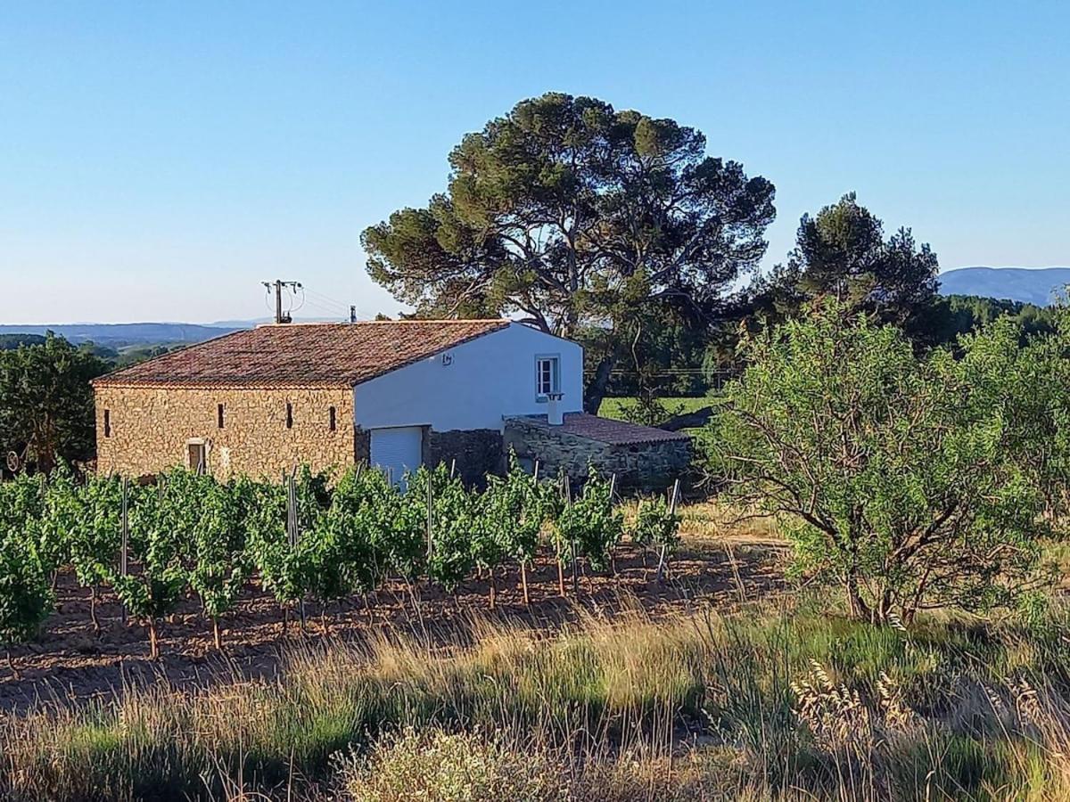Domaine Saint Augustin Villa Rieux-Minervois Exterior photo